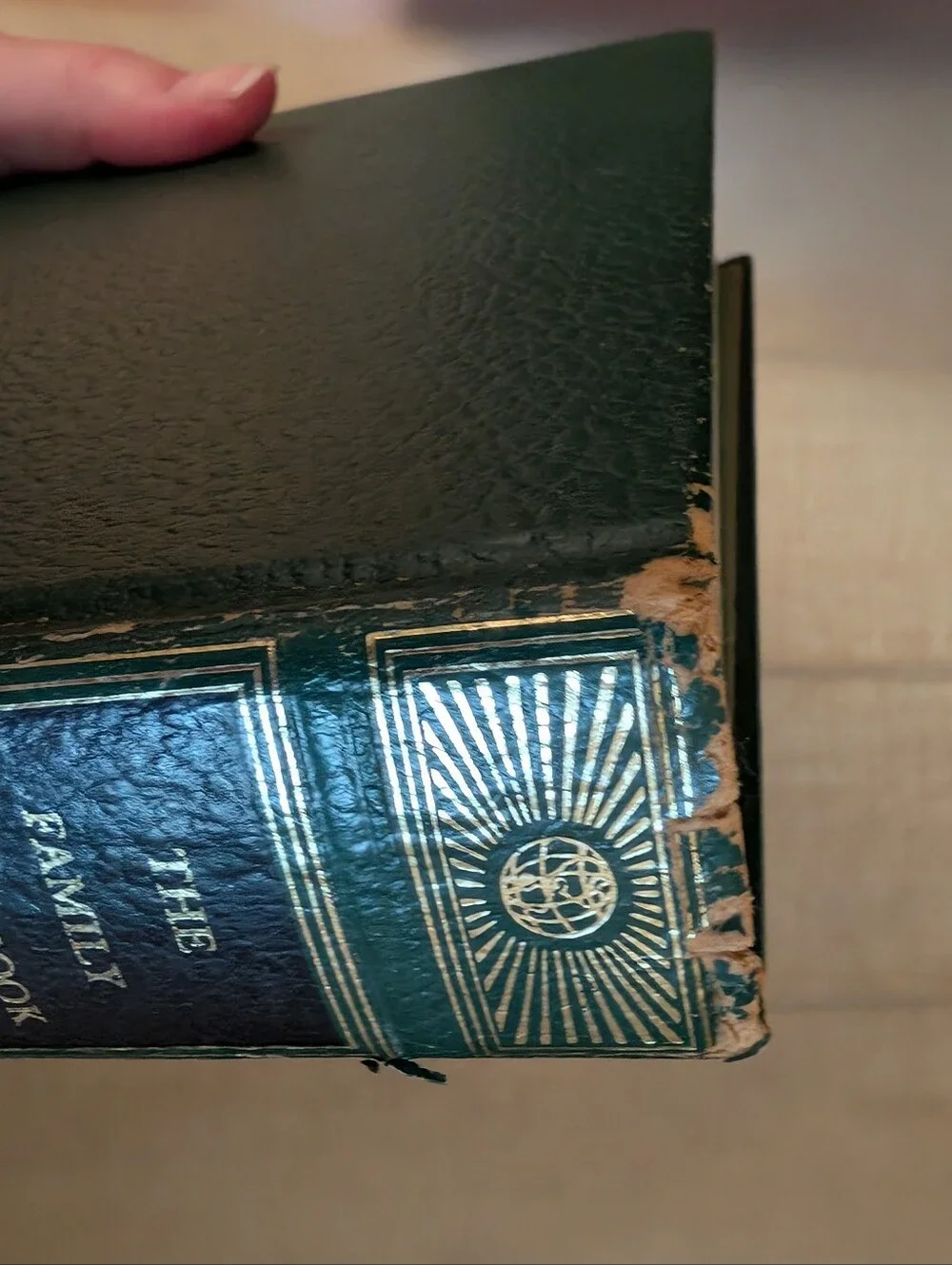 Vintage 1962 Standard Home Library- The Family Cookbook